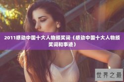 2011感动中国十大人物颁奖词（感动中国十大人物颁奖词和事迹）