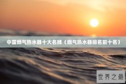 中国燃气热水器十大名牌（燃气热水器排名前十名）