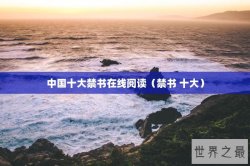 中国十大禁书在线阅读（禁书 十大）