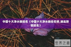 中国十大净水器排名（中国十大净水器排名榜,迪曼斯顿排名）