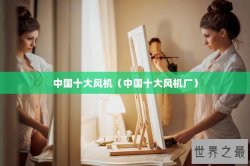 中国十大风机（中国十大风机厂）