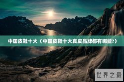 中国皮鞋十大（中国皮鞋十大真皮品牌都有哪些?）