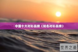 中国十大衬衫品牌（知名衬衫品牌）