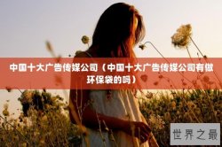 中国十大广告传媒公司（中国十大广告传媒公司有做环保袋的吗）