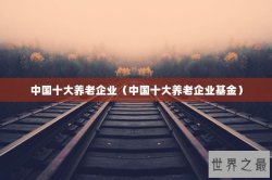 中国十大养老企业（中国十大养老企业基金）