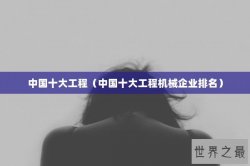 中国十大工程（中国十大工程机械企业排名）