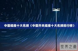 中国插座十大名牌（中国开关插座十大名牌排行榜）