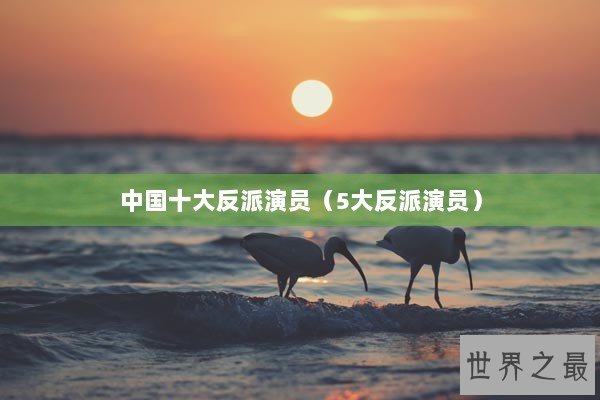 中国十大反派演员（5大反派演员）