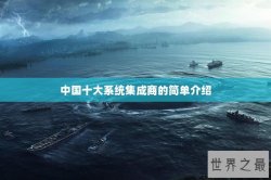 中国十大系统集成商的简单介绍