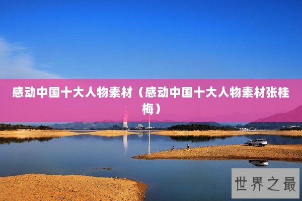 感动中国十大人物素材（感动中国十大人物素材张桂梅）