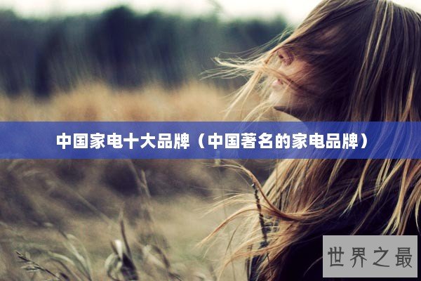 中国家电十大品牌（中国著名的家电品牌）