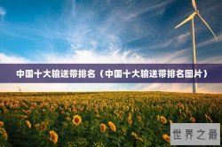 中国十大输送带排名（中国十大输送带排名图片）
