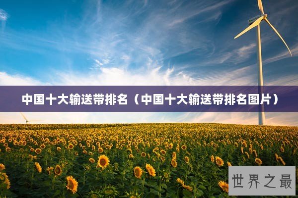 中国十大输送带排名（中国十大输送带排名图片）