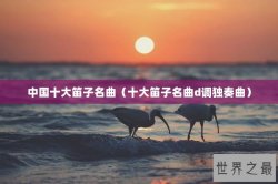 中国十大笛子名曲（十大笛子名曲d调独奏曲）