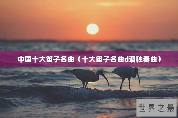 中国十大笛子名曲（十大笛子名曲d调独奏曲）