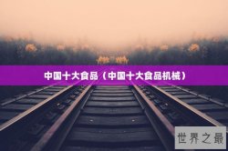 中国十大食品（中国十大食品机械）
