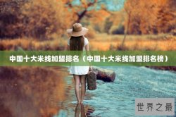 中国十大米线加盟排名（中国十大米线加盟排名榜）