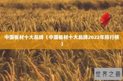 中国板材十大品牌（中国板材十大品牌2022年排行榜）