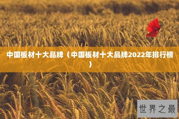 中国板材十大品牌（中国板材十大品牌2022年排行榜）