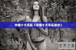 中国十大乐队（中国十大乐队组合）