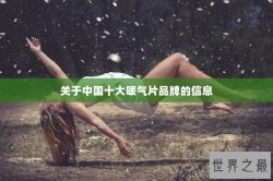 关于中国十大暖气片品牌的信息