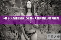 中国十大品牌壁挂炉（中国十大品牌壁挂炉查询官网）