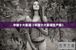 中国十大索道（中国十大索道生产商）