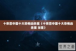 十宗罪中国十大恐怖凶杀案（十宗罪中国十大恐怖凶杀案 浴室）