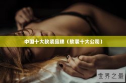 中国十大软装品牌（软装十大公司）