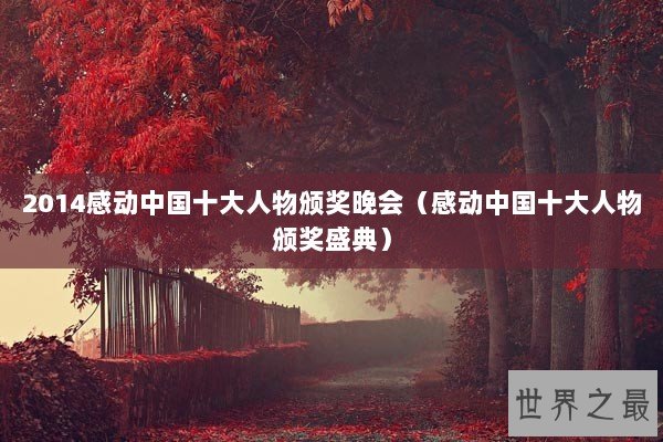 2014感动中国十大人物颁奖晚会（感动中国十大人物颁奖盛典）