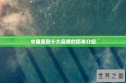 中国童鞋十大品牌的简单介绍