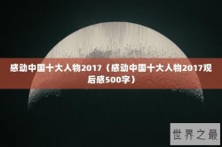 感动中国十大人物2017（感动中国十大人物2017观后感500字）
