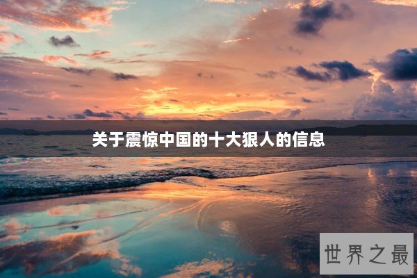 关于震惊中国的十大狠人的信息