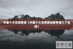 中国十大名牌西装（中国十大名牌西装都有哪几个品牌）
