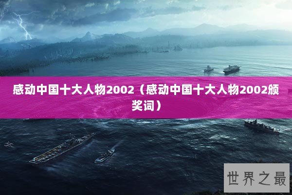 感动中国十大人物2002（感动中国十大人物2002颁奖词）