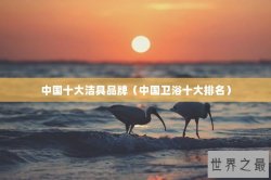 中国十大洁具品牌（中国卫浴十大排名）