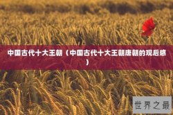 中国古代十大王朝（中国古代十大王朝唐朝的观后感）