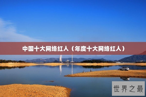 中国十大网络红人（年度十大网络红人）