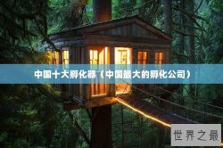 中国十大孵化器（中国最大的孵化公司）