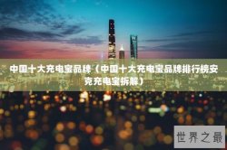 中国十大充电宝品牌（中国十大充电宝品牌排行榜安克充电宝拆解）