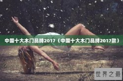 中国十大木门品牌2017（中国十大木门品牌2017款）