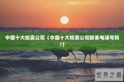 中国十大拍卖公司（中国十大拍卖公司联系电话号码?）