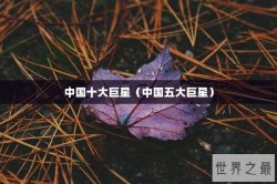 中国十大巨星（中国五大巨星）