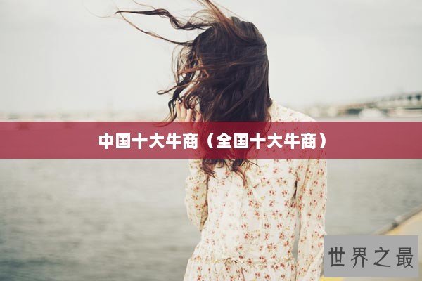 中国十大牛商(全国十大牛商) 中国十大牛商(全国十大牛商)