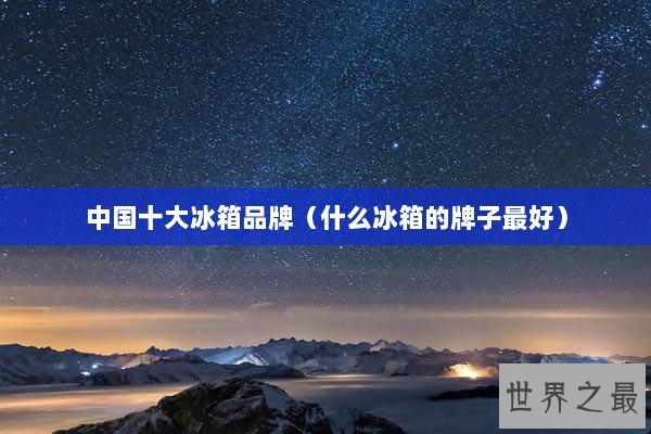 中国十大冰箱品牌（什么冰箱的牌子最好）