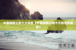 中国保险公司十大排名（中国保险公司十大排名奶爸保）