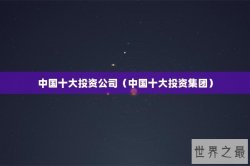 中国十大投资公司（中国十大投资集团）