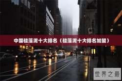 中国硅藻泥十大排名（硅藻泥十大排名加盟）