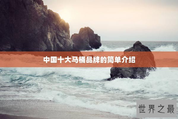 中国十大马桶品牌的简单介绍