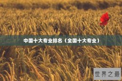 中国十大专业排名（全国十大专业）